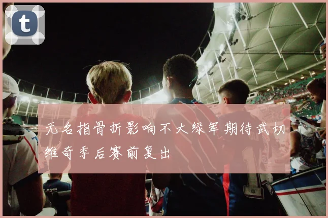 无名指骨折影响不大绿军期待武切维奇季后赛前复出