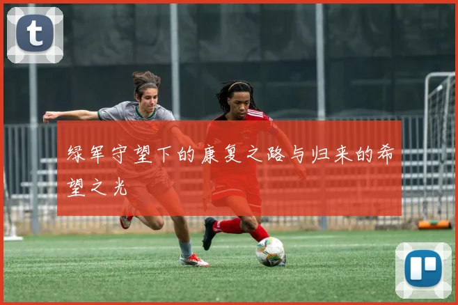 绿军守望下的康复之路与归来的希望之光