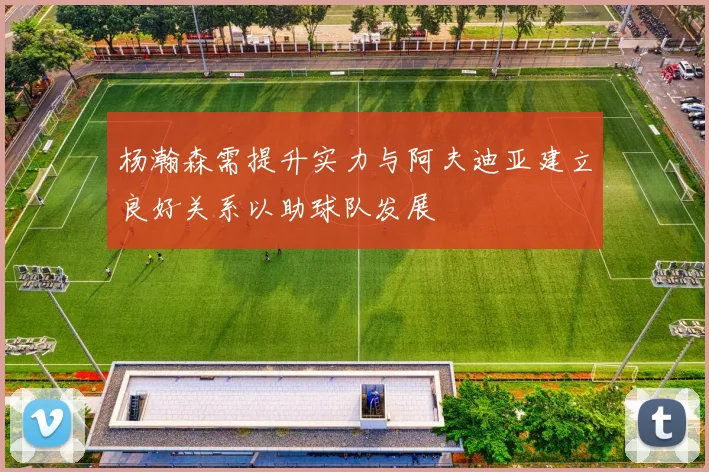 杨瀚森需提升实力与阿夫迪亚建立良好关系以助球队发展