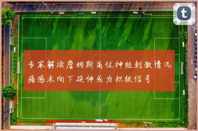 专家解读詹姆斯高位神经刺激情况痛感未向下延伸或为积极信号